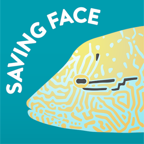 SavingFace
